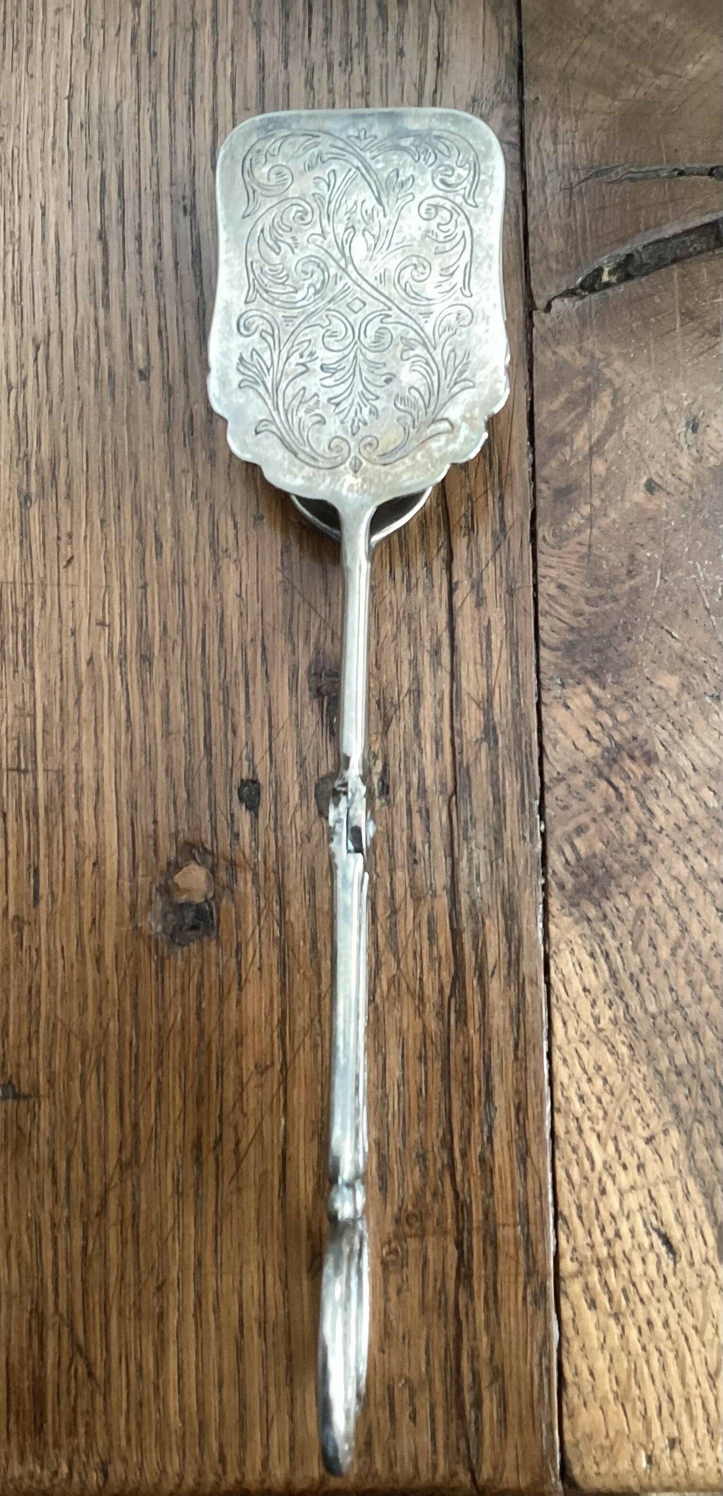 FA85B92A-7841-4FA3-AA2E-0A96F26EBB2E