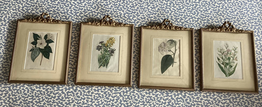 4A64AAFF-9EF8-4E1B-956E-A3029BCF8BF6