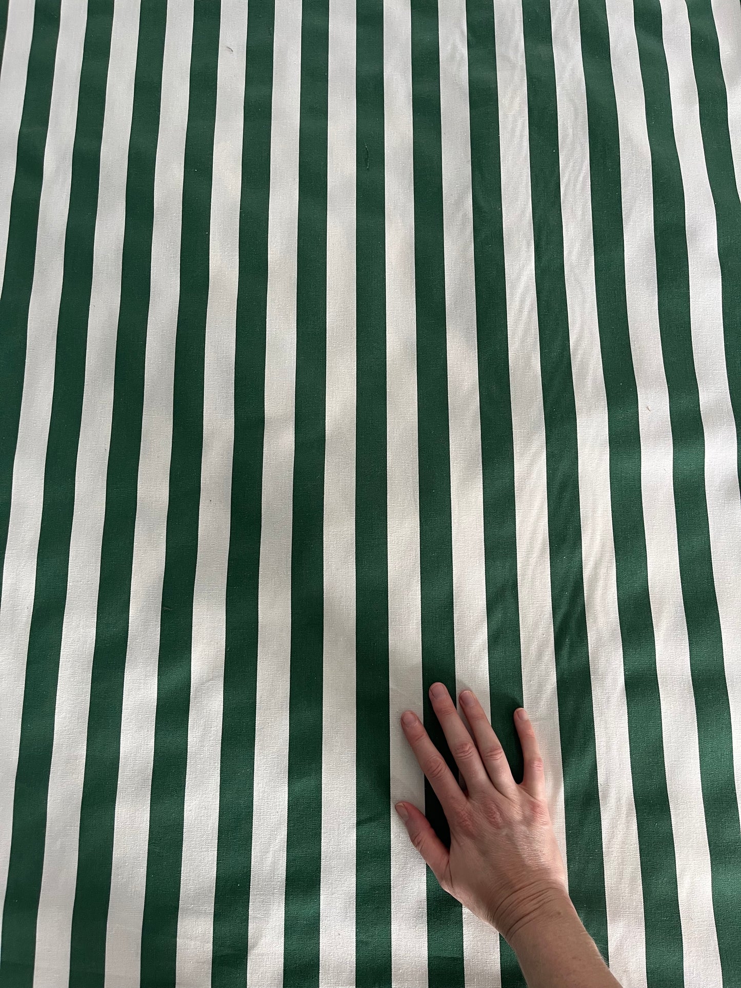 Gaston Y Daniela 'Maicorica Stripe' in Almudaina Blanco/ Verde Botella