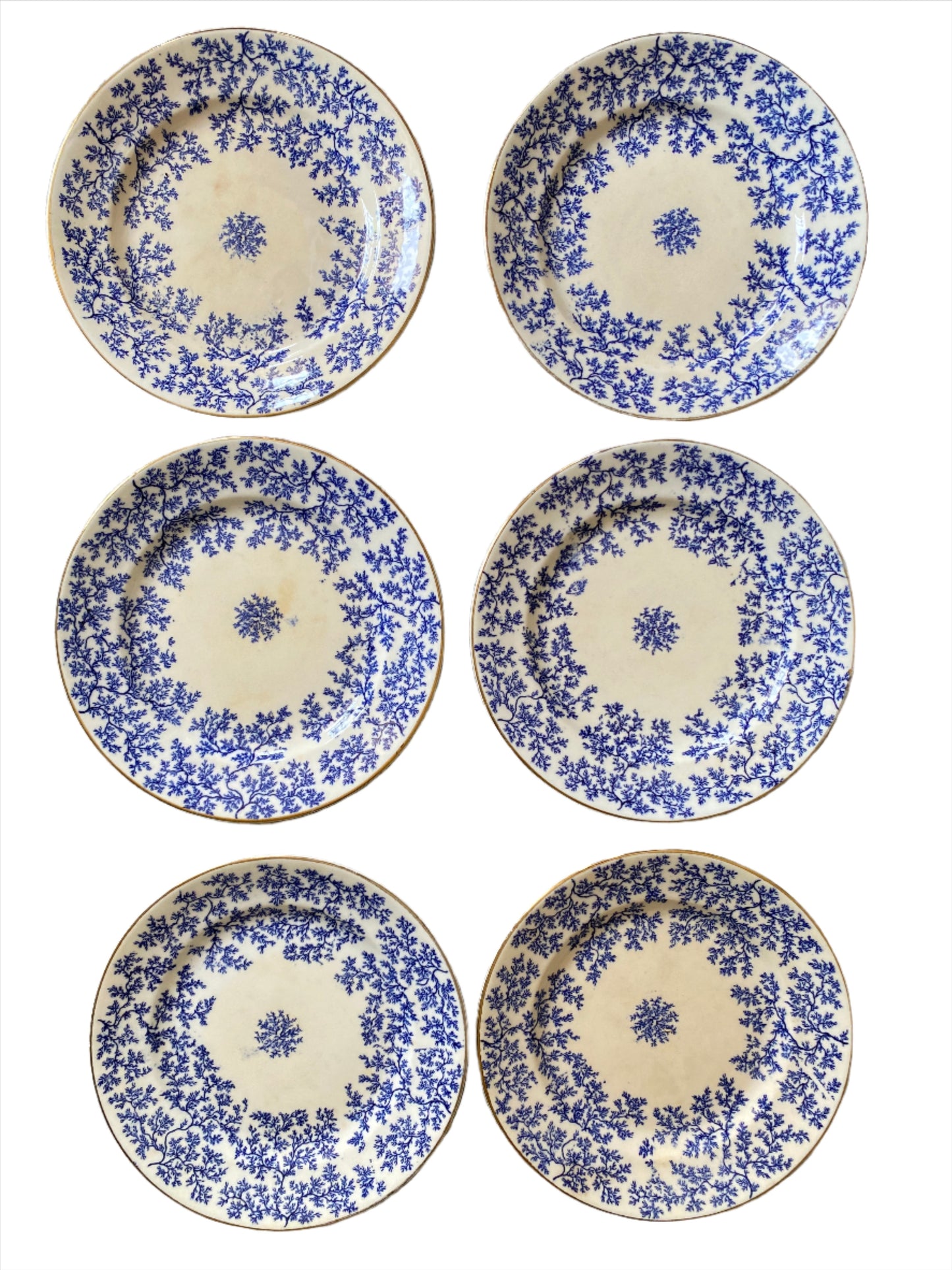 Set of 6 Minton Seaweed Cake Plates