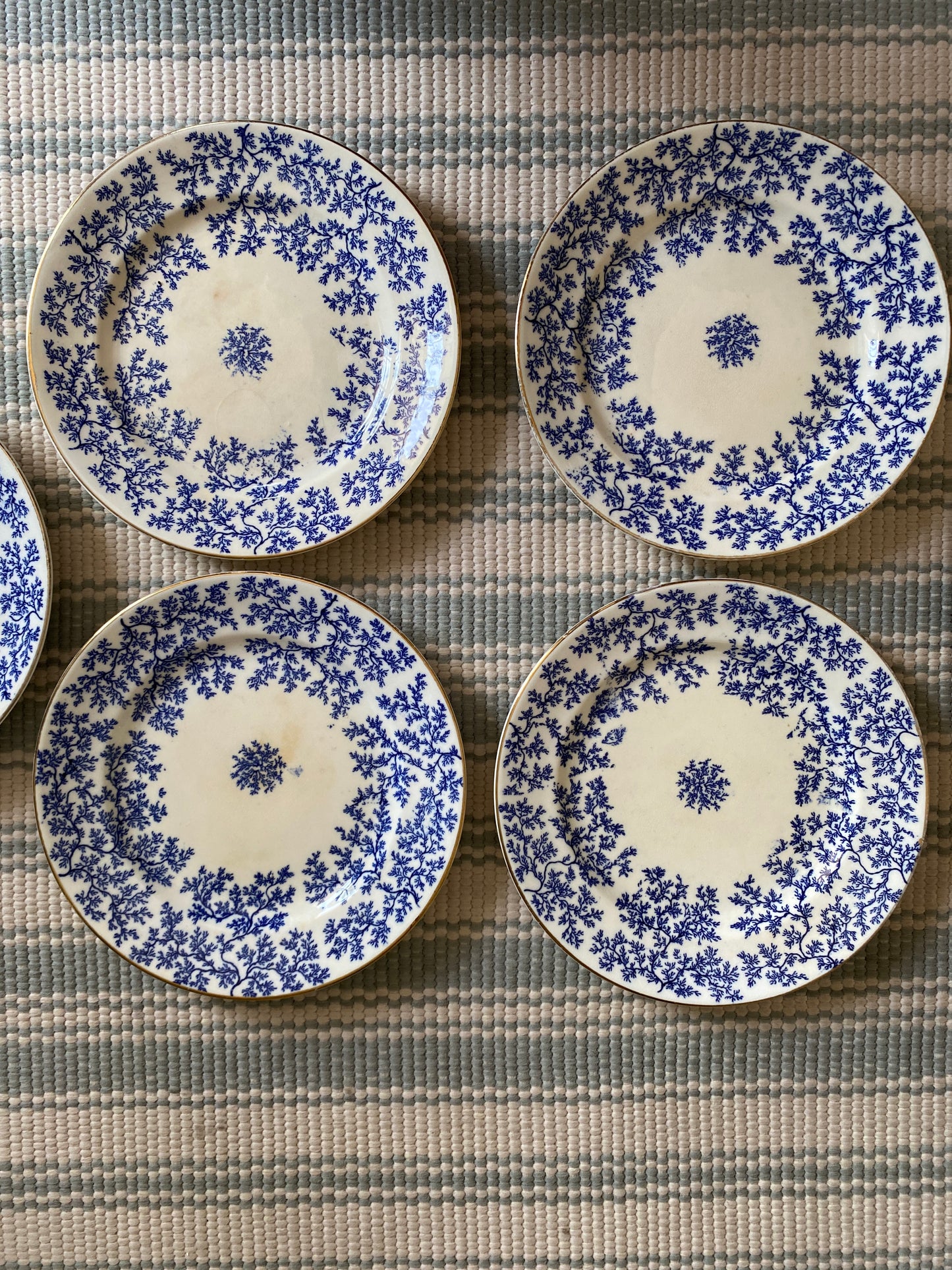 Set of 6 Minton Seaweed Cake Plates