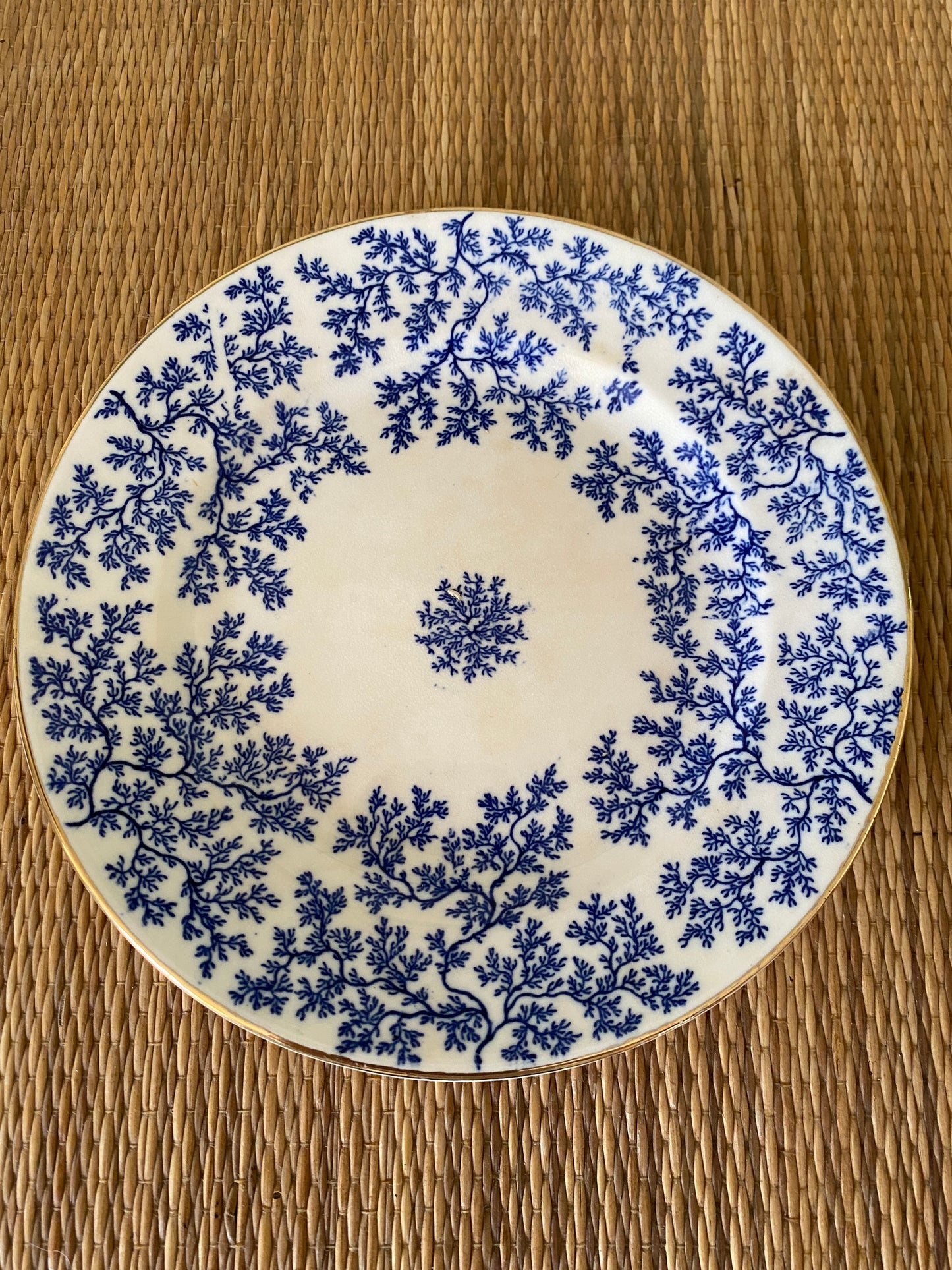 Set of 6 Minton Seaweed Cake Plates