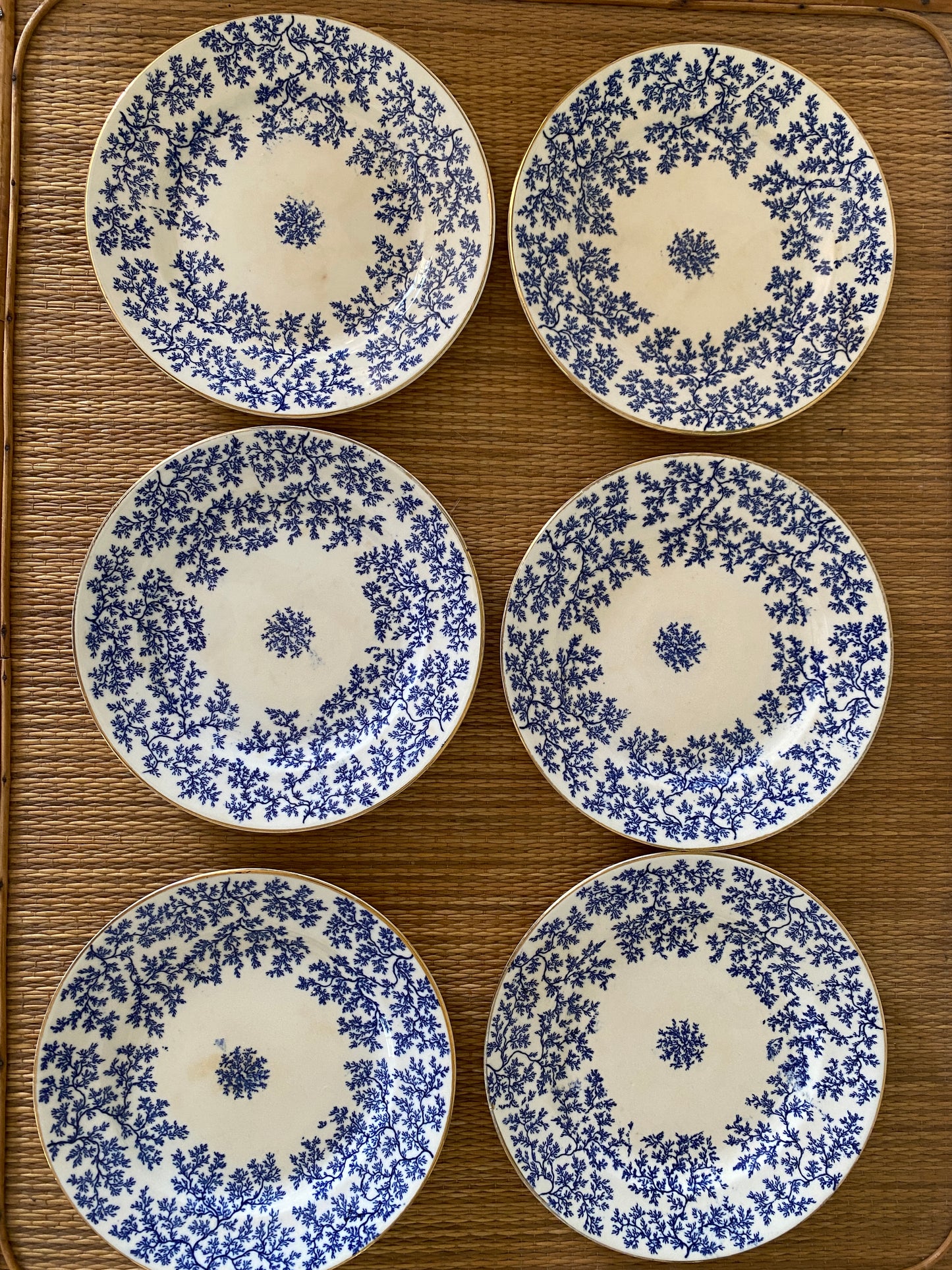 Set of 6 Minton Seaweed Cake Plates