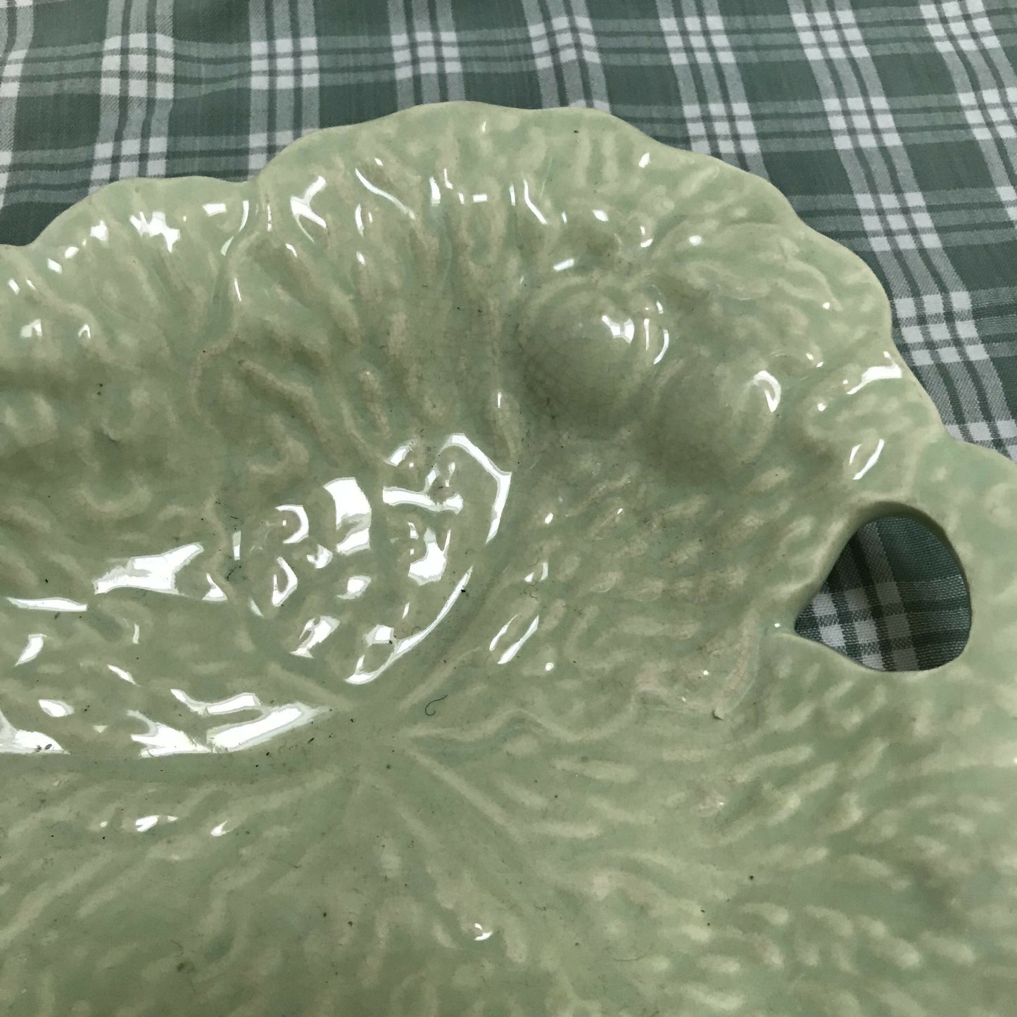 Pale Green Cabbage Leaf Dish