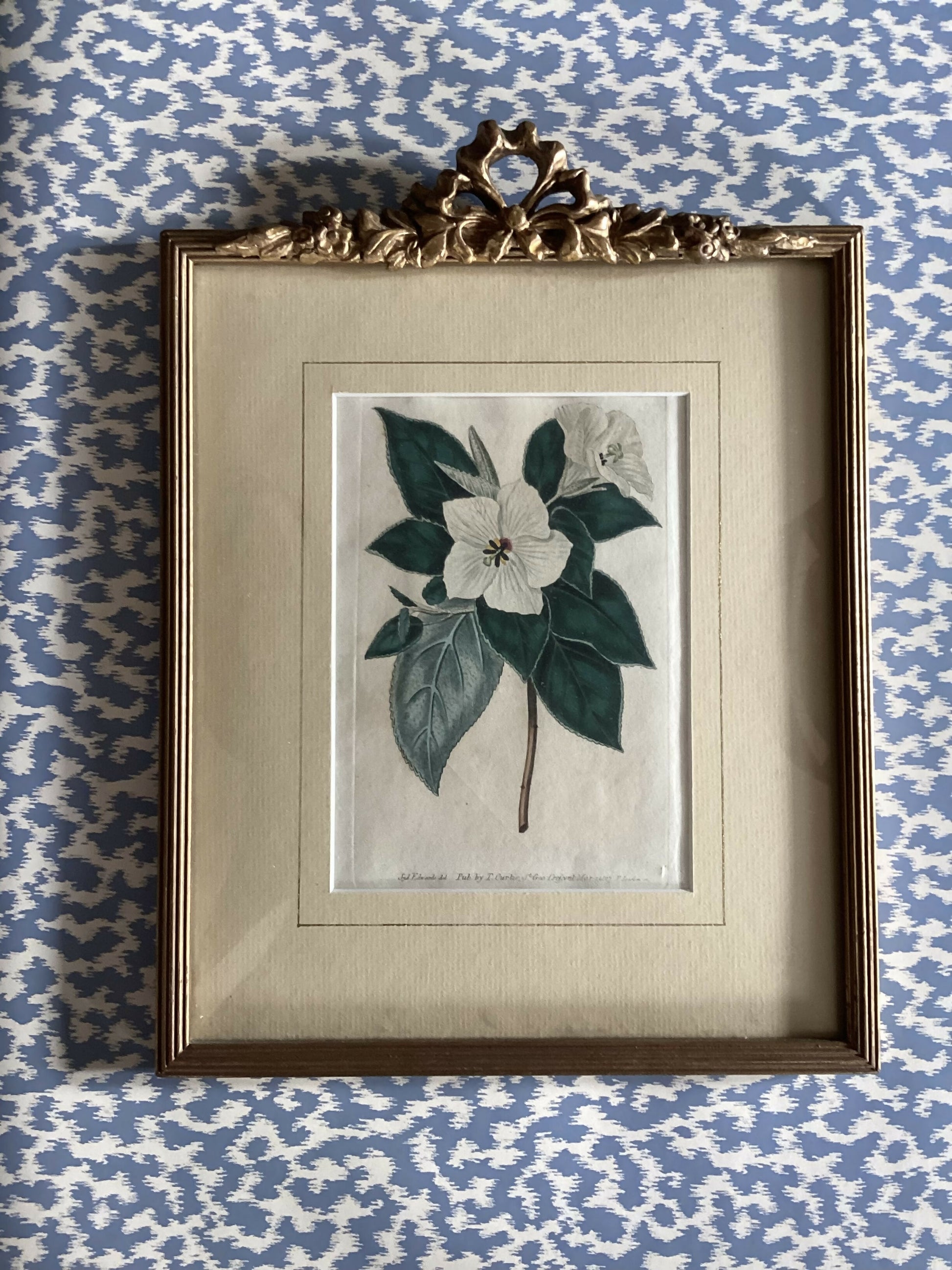 F23933F4-44DB-4829-B1C9-6326F0E7ED45