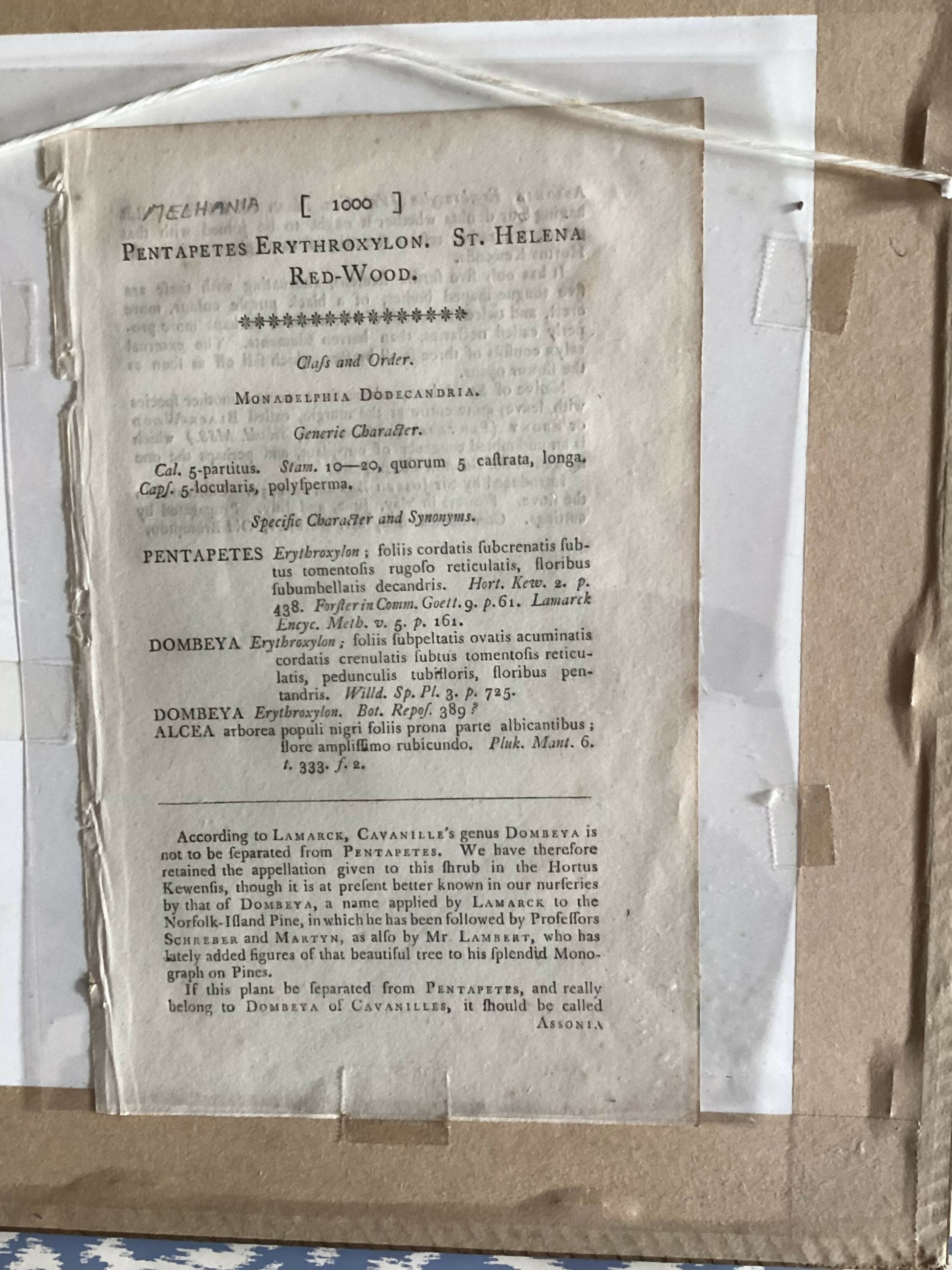 2D34FDE3-D5C2-411F-A51D-3E5483B30960