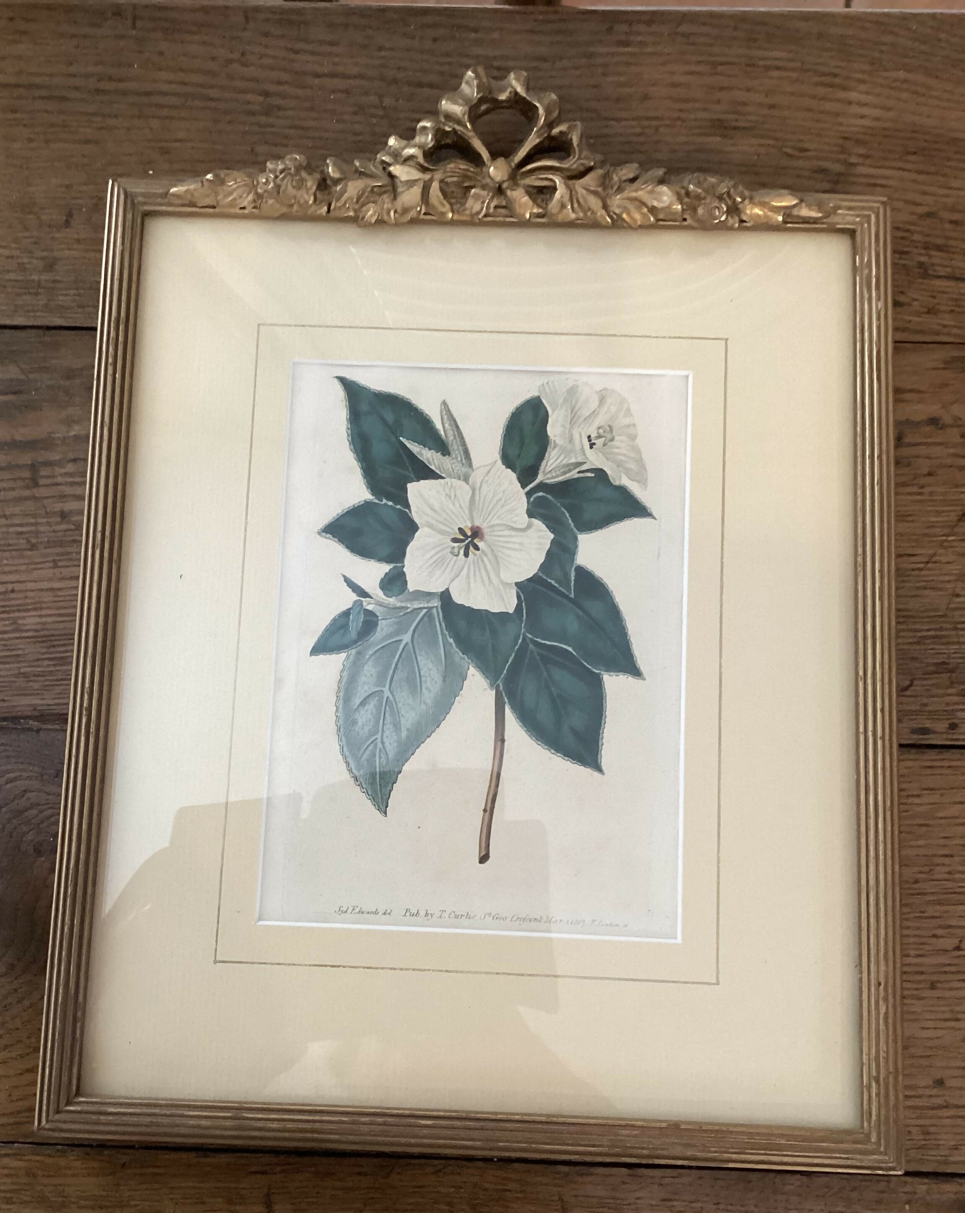 5353CAE1-F7DD-48E0-9A22-AFE32CFE90CC