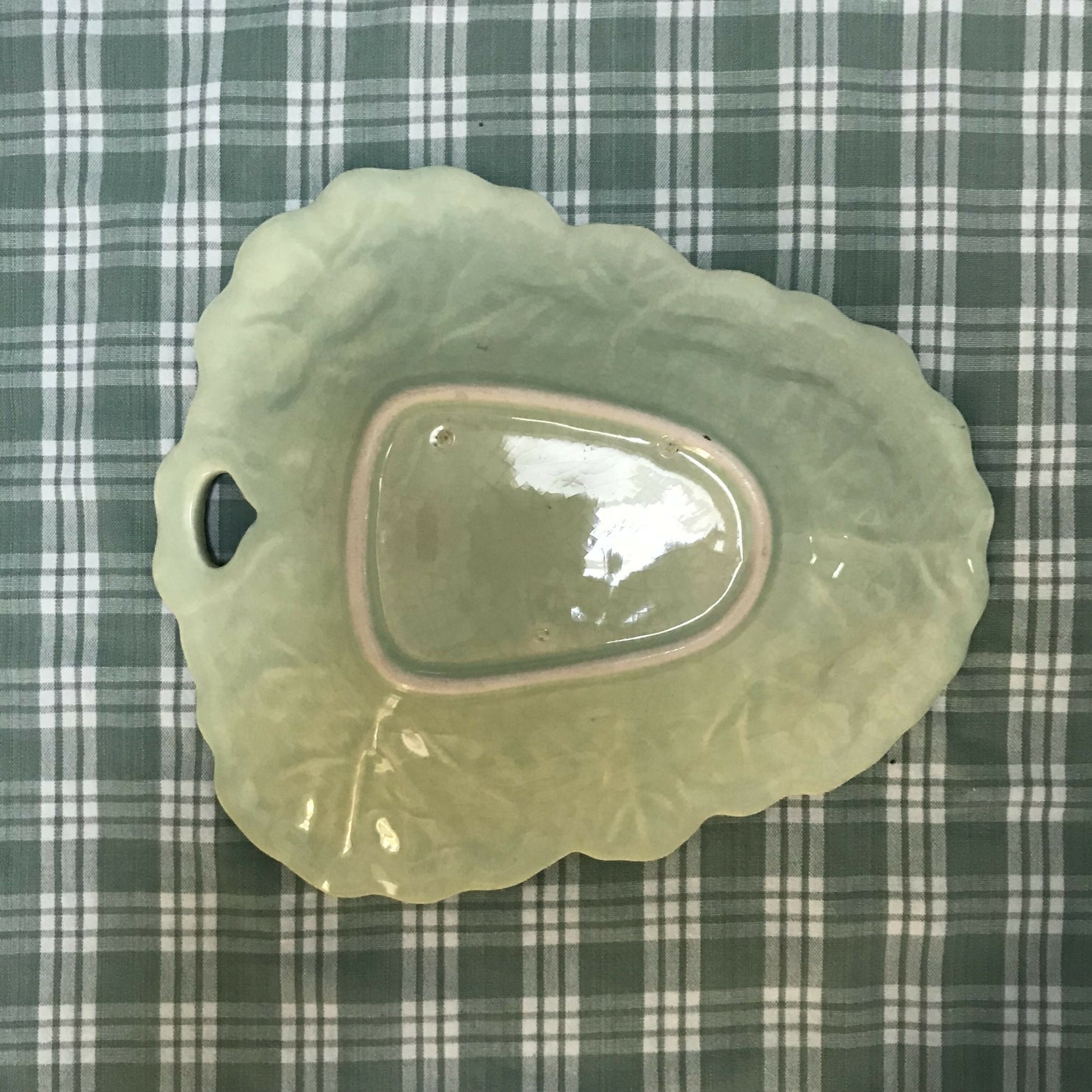 Pale Green Cabbage Leaf Dish