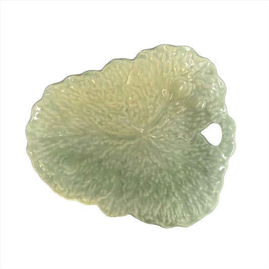 Pale Green Cabbage Leaf Dish