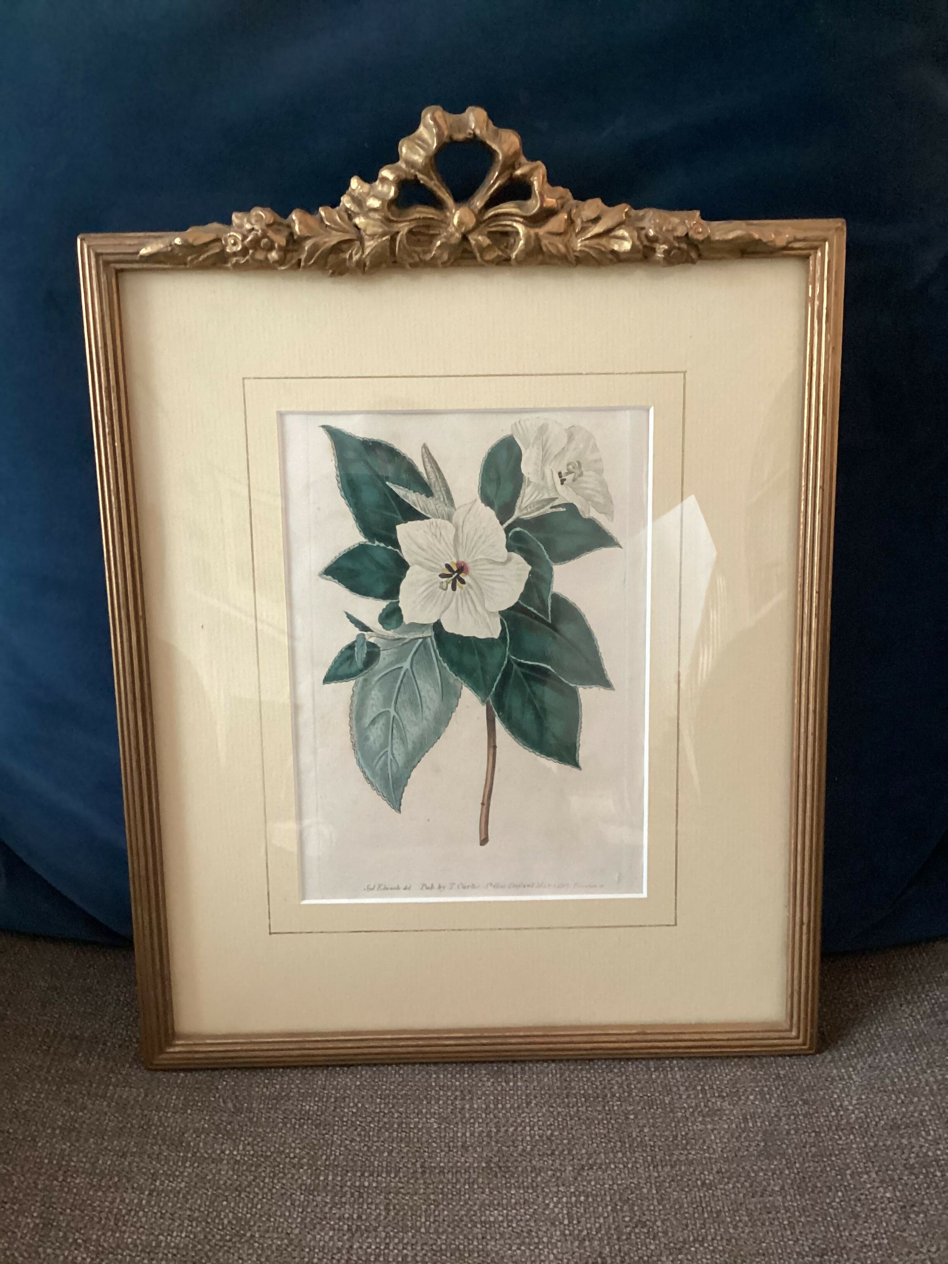 57C95423-7853-4DCA-A4B2-91353E5DB68A