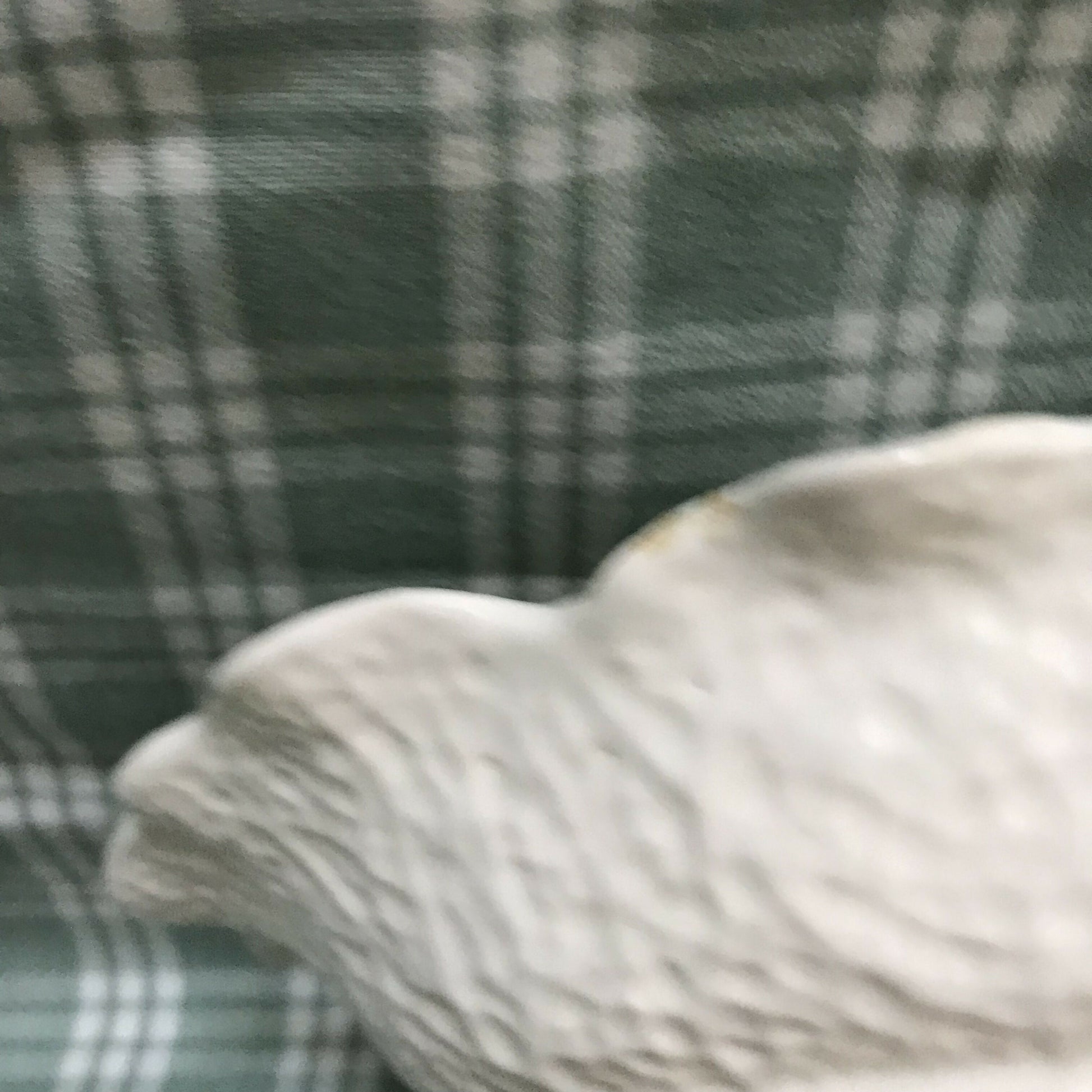 xRZ1qgQCb8