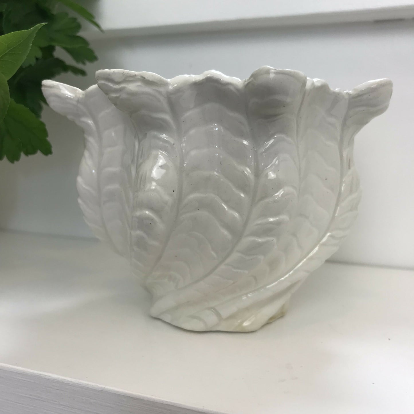 Shell shaped Pot