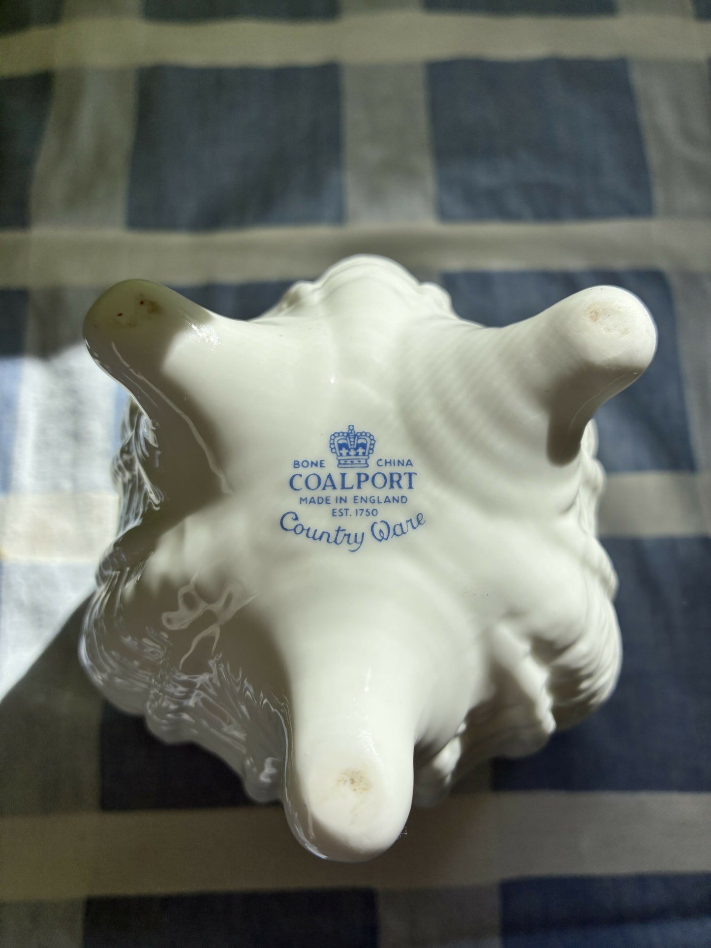 Coalport Countryware Pot