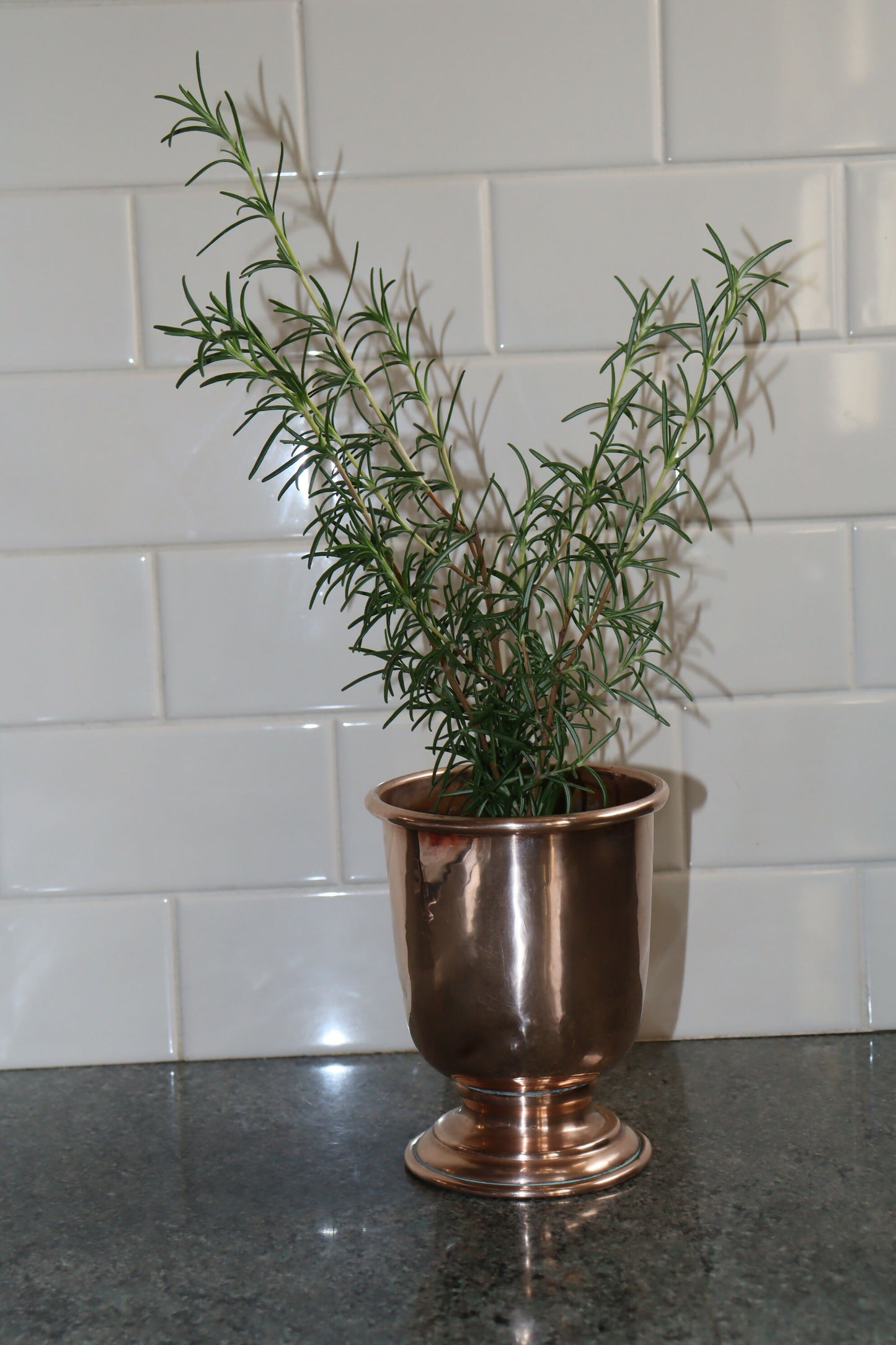 Copper vase, planter, or kitchen tidy?