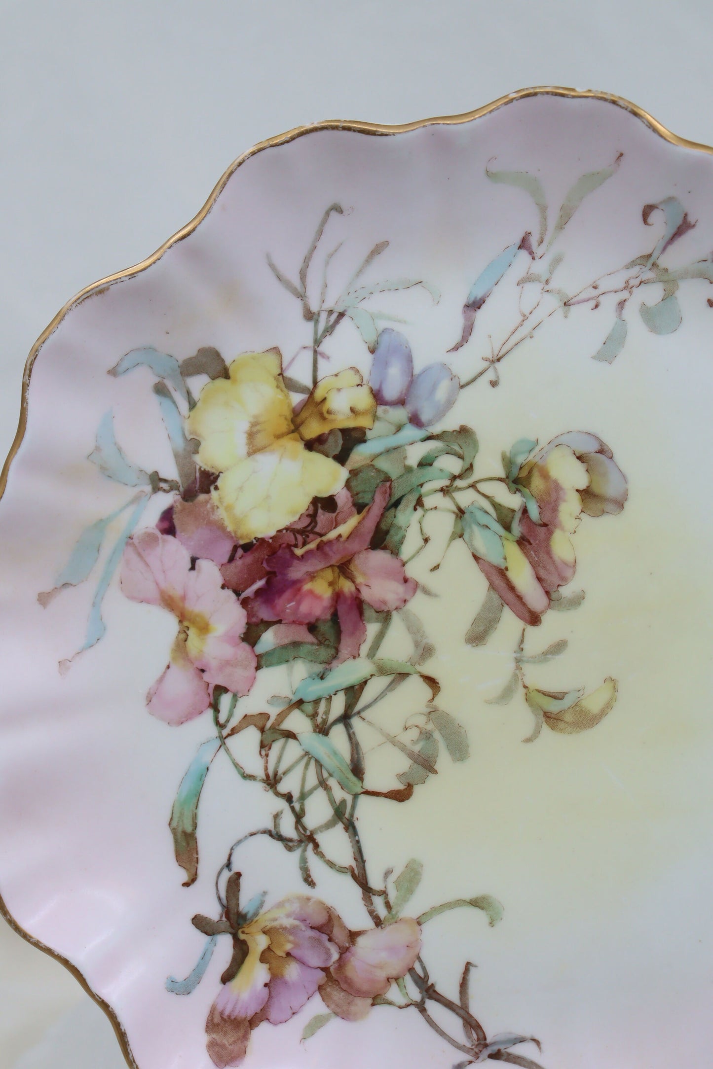 Doulton Burslem hand coloured plate pattern C2749