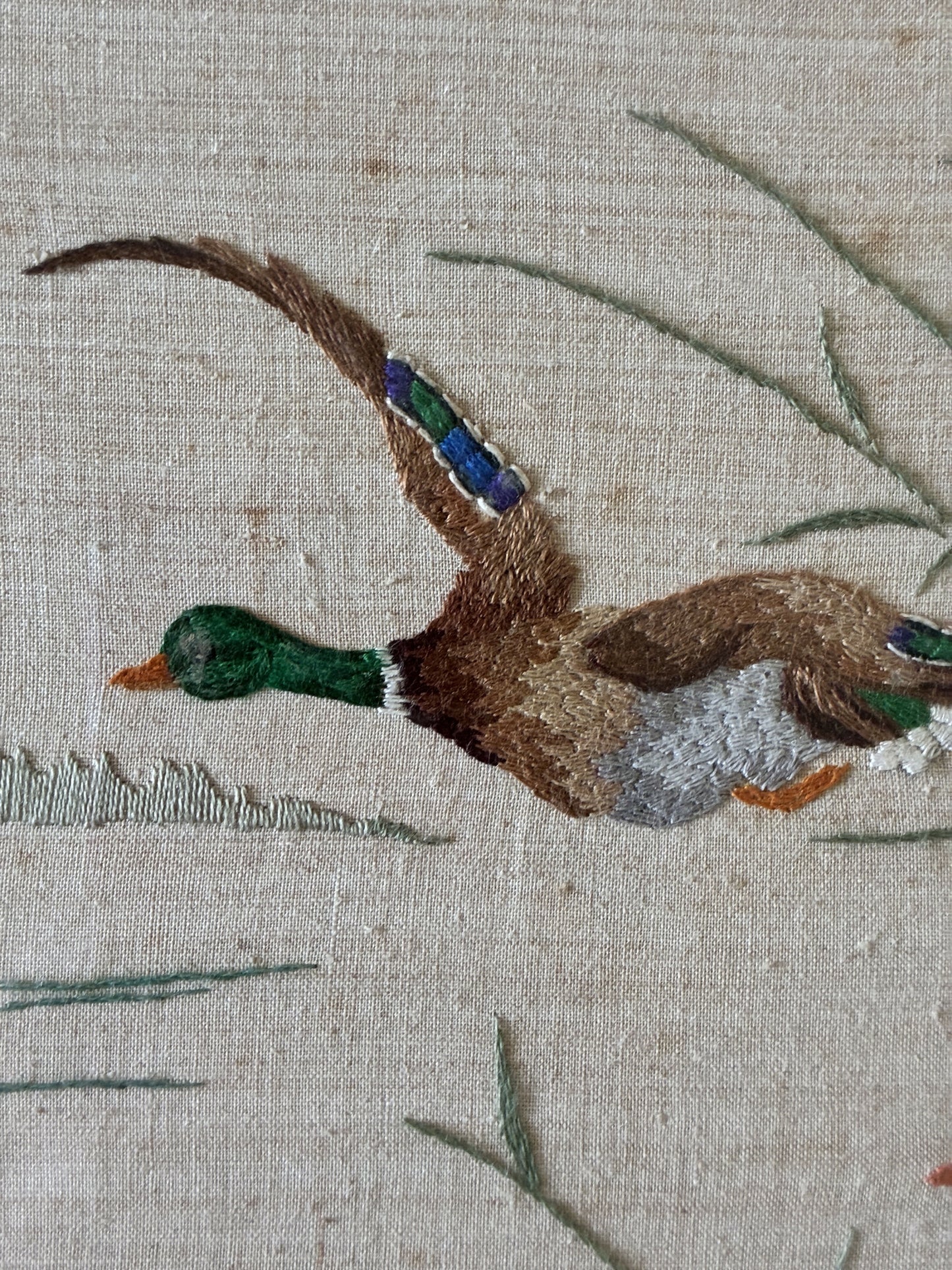 Crewel work Mallard Ducks