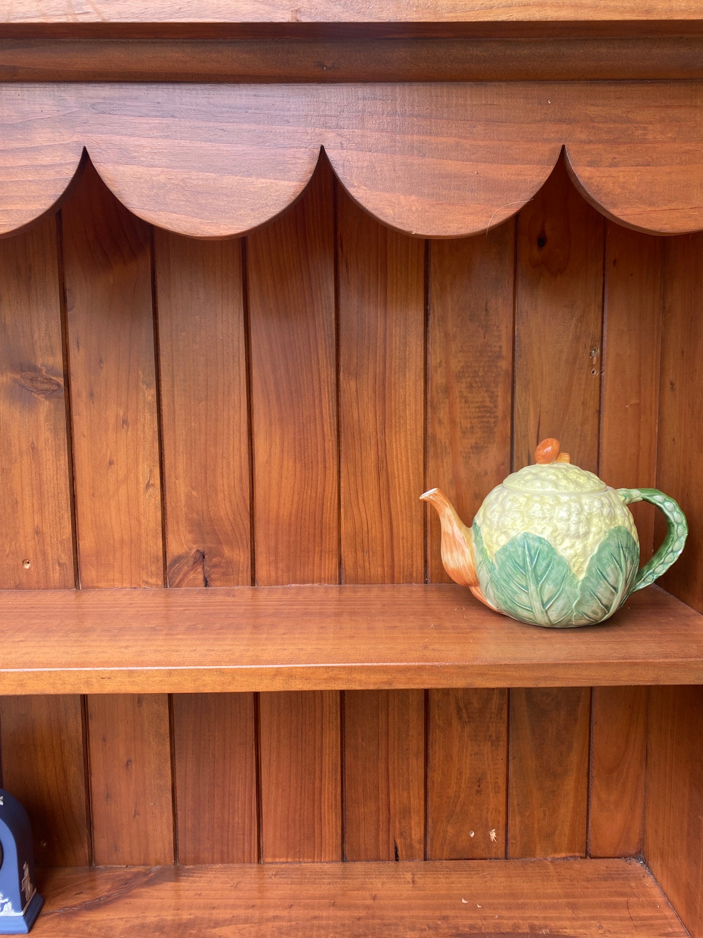 Scallop Display Shelves