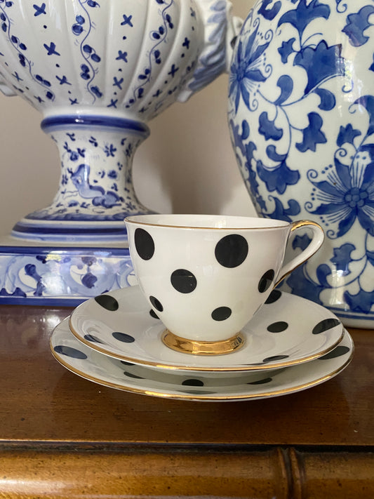 Royal Standard Black Polka Dot Trio x 2