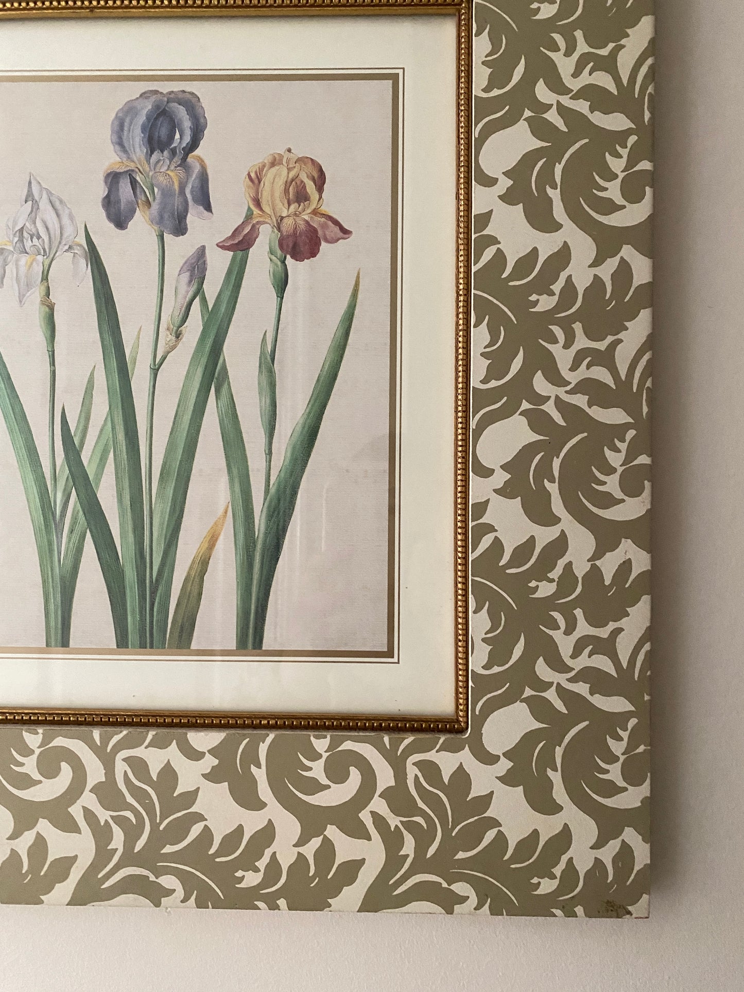 Set of 3 Vintage Floral lithographs