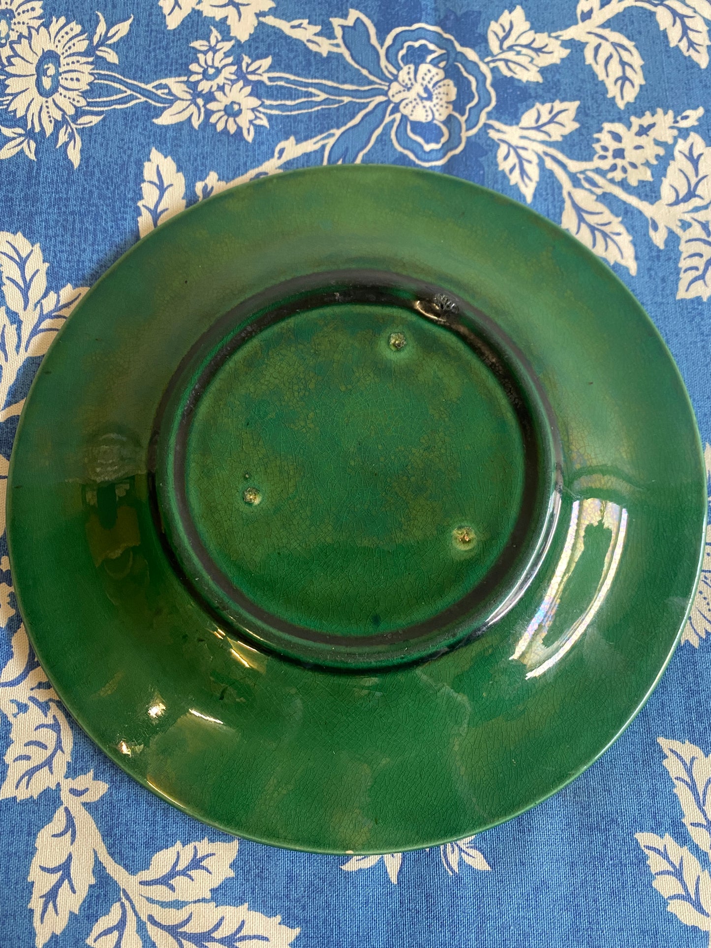 Green Majolica Plate