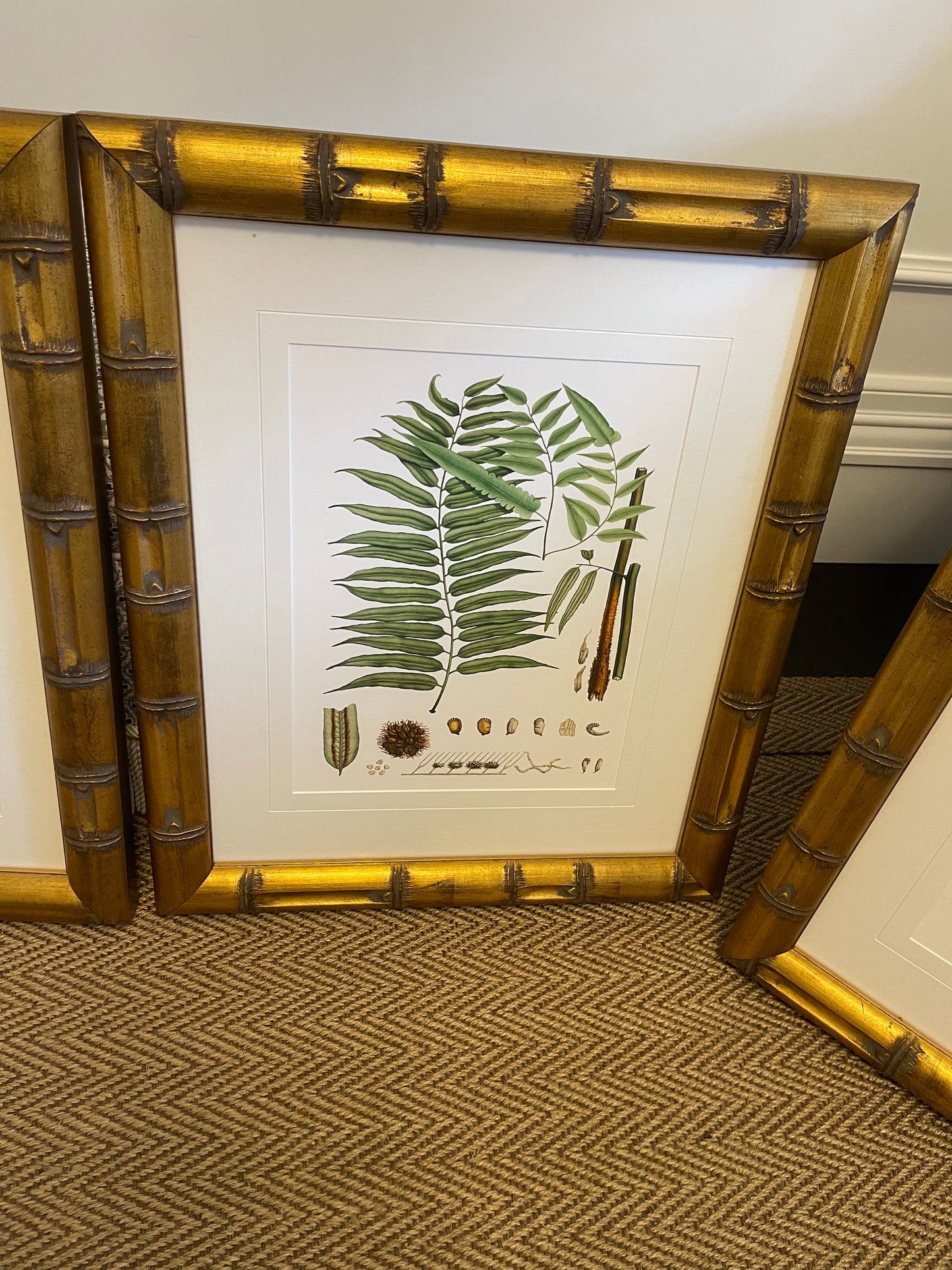 3 Botanical Prints on Paper With Gold Raffles Bamboo Frame