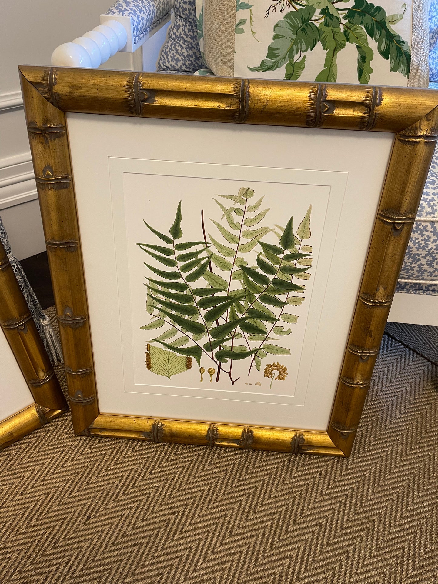 3 Botanical Prints on Paper With Gold Raffles Bamboo Frame