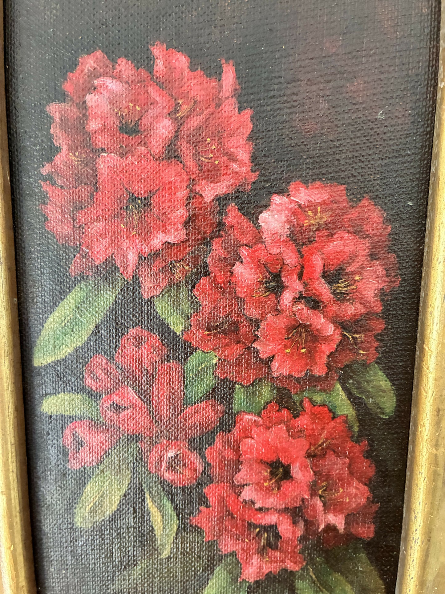 Rhododendrons in vintage gilt frame