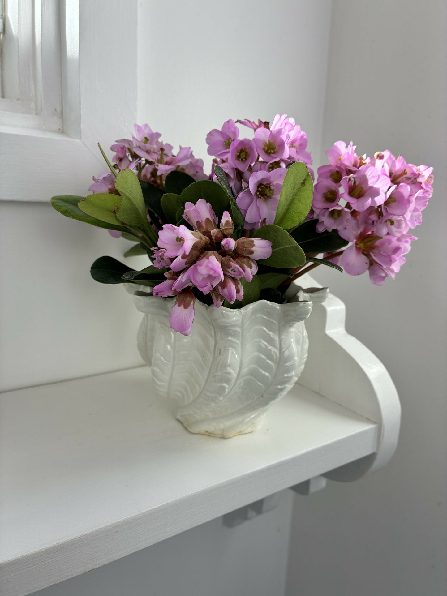 Shell shaped Pot