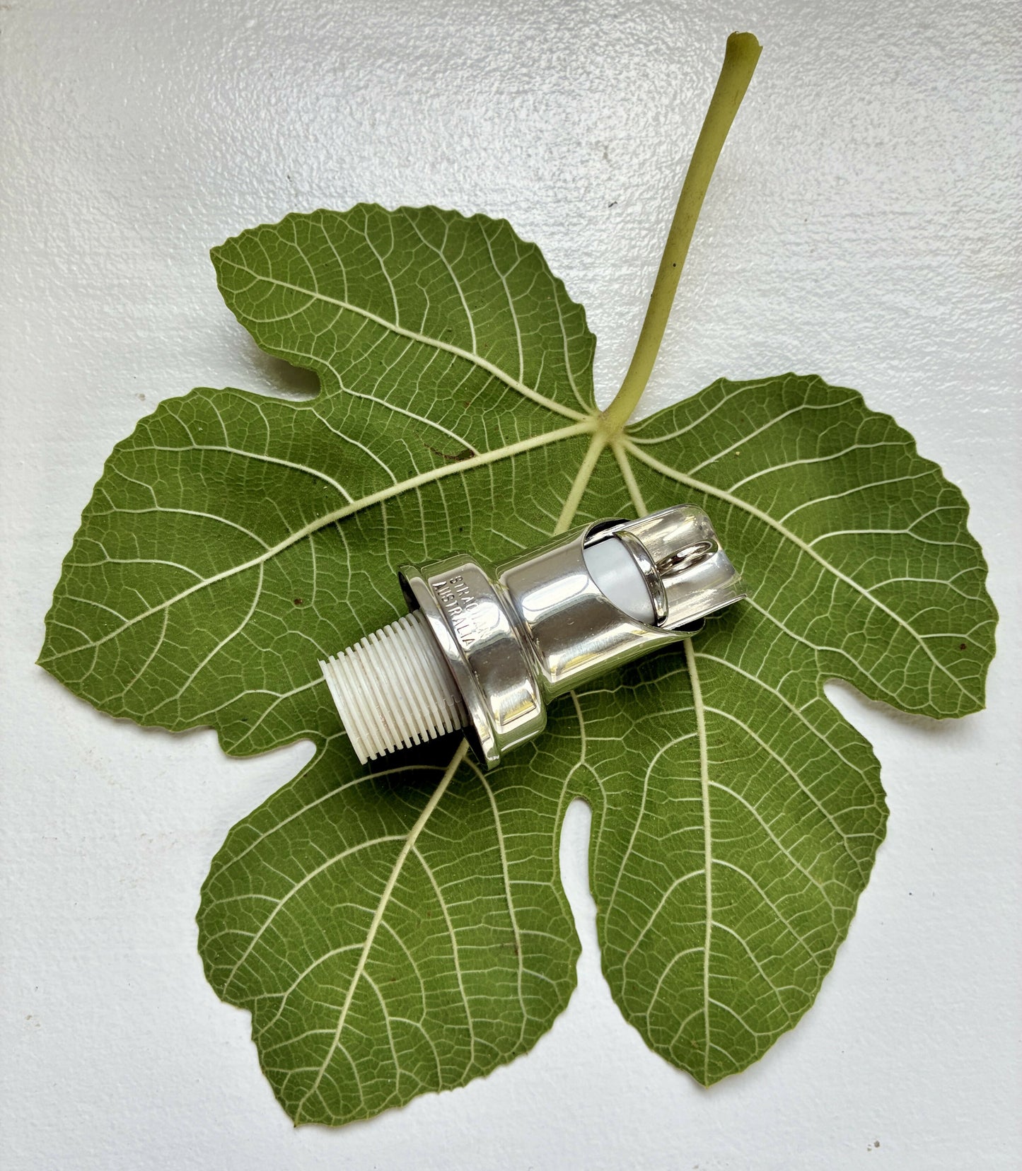Silver wine pourer