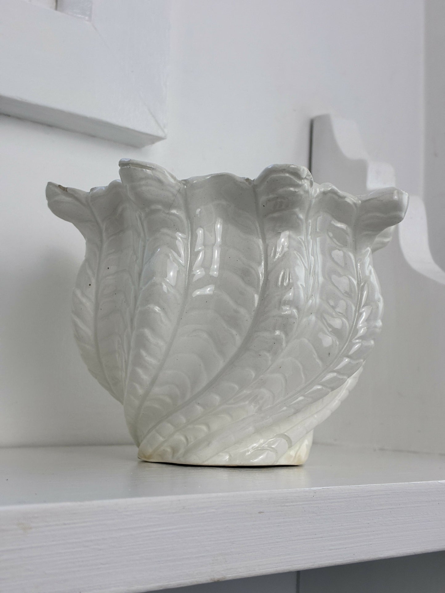 Shell shaped Pot