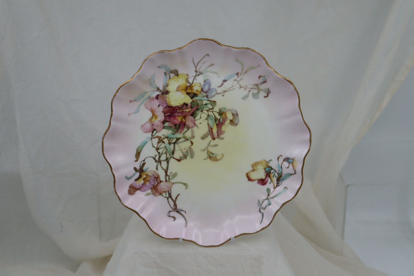 Doulton Burslem hand coloured plate pattern C2749