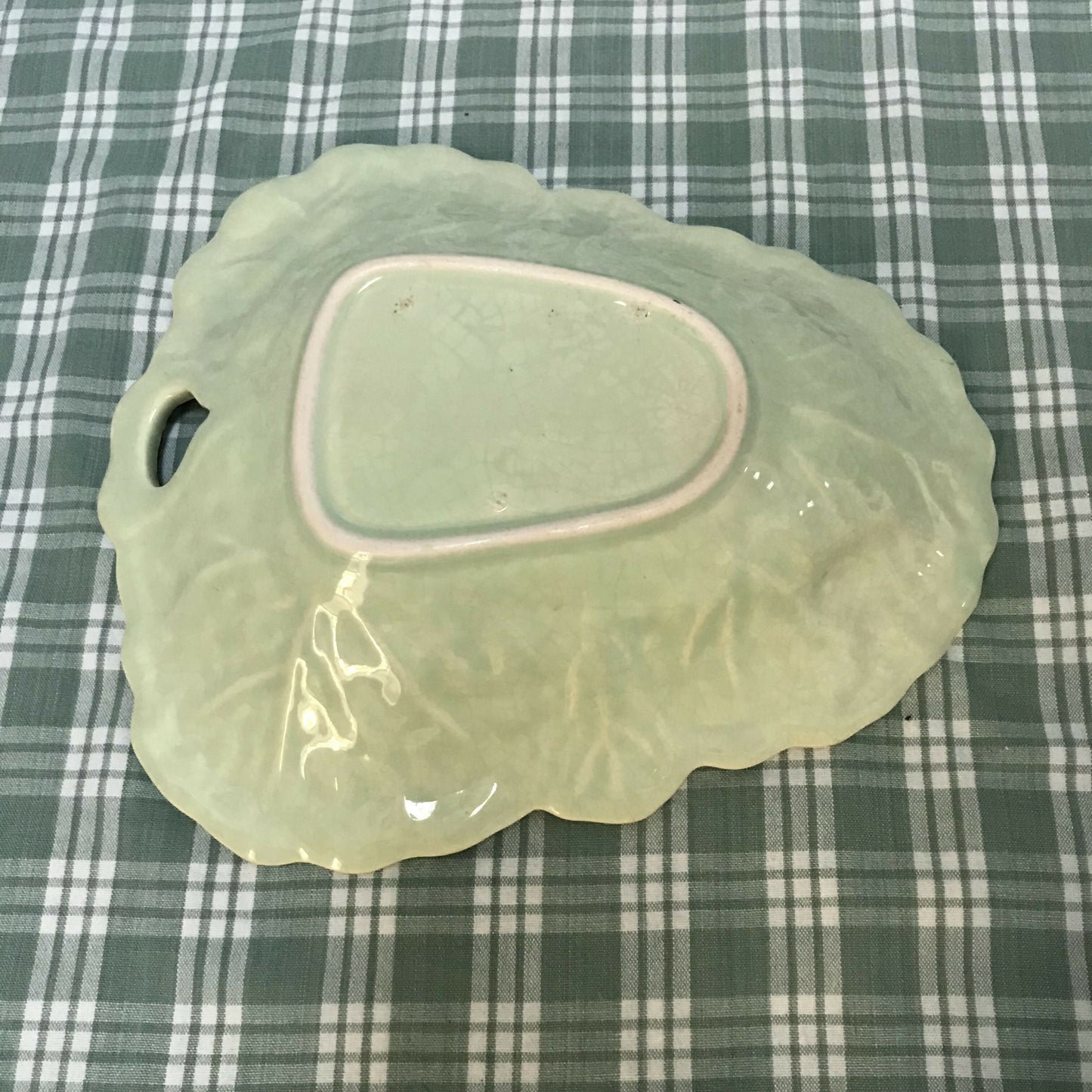 Pale Green Cabbage Leaf Dish