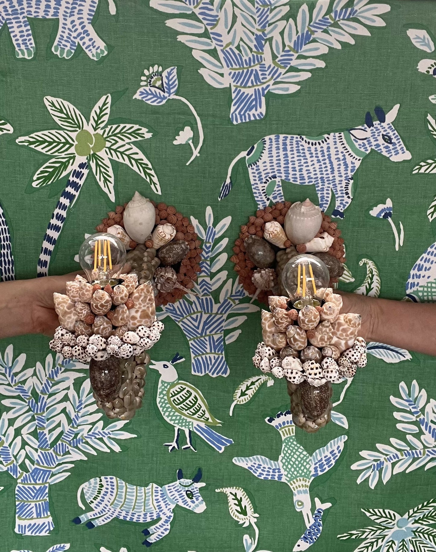 Pair of Shell Sconces