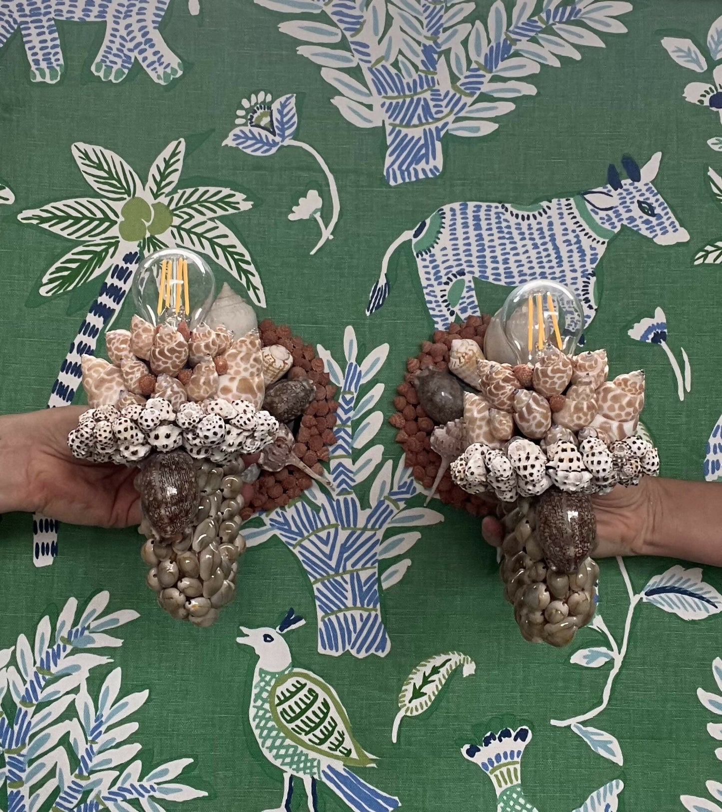 Pair of Shell Sconces