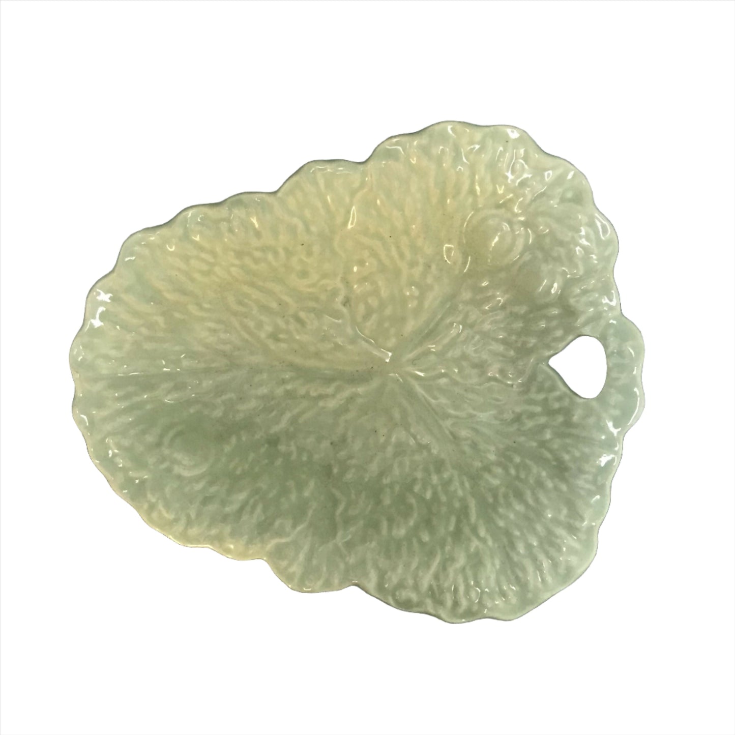 Pale Green Cabbage Leaf Dish