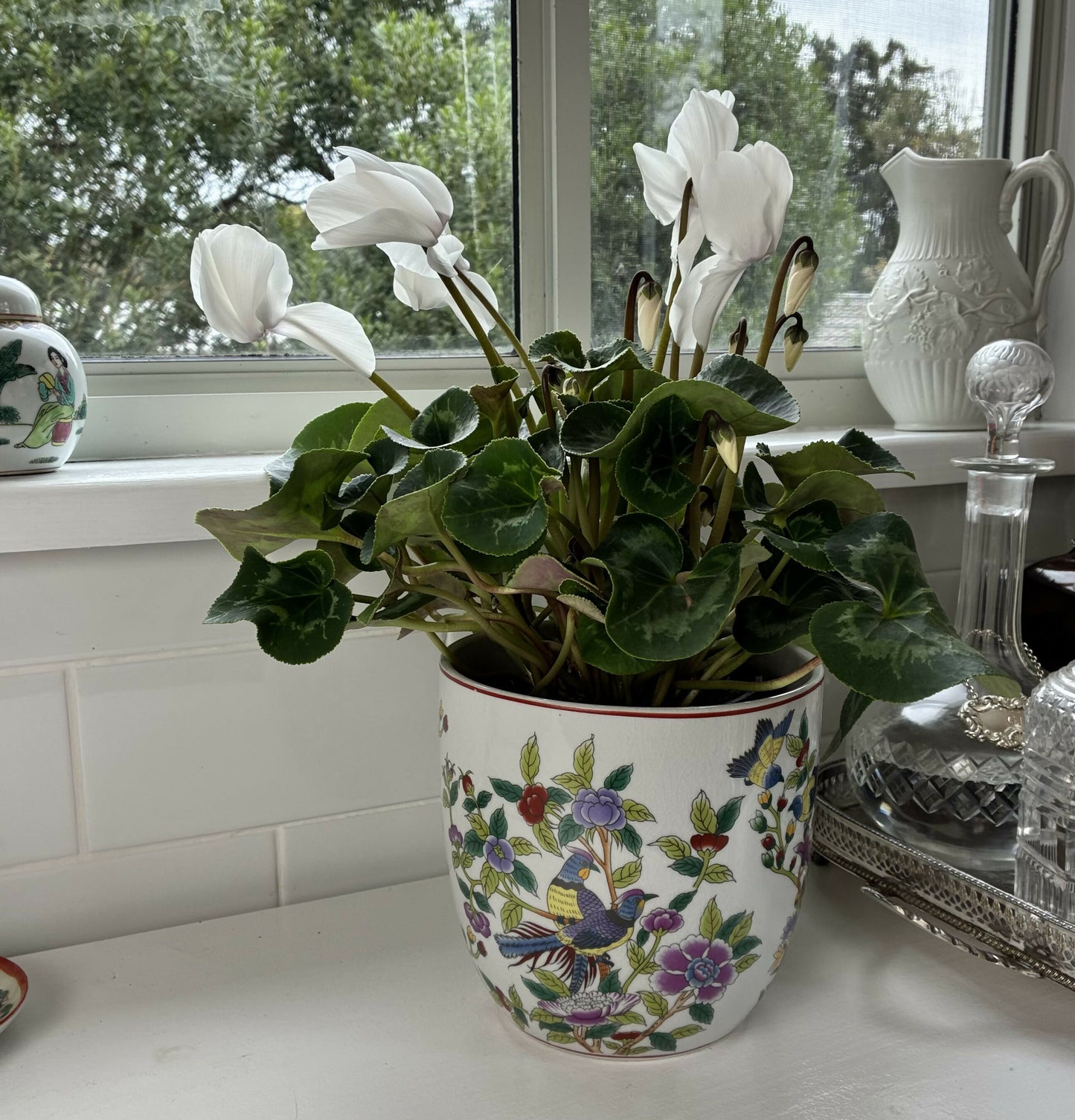 Chinoiserie Cache Pot Planter