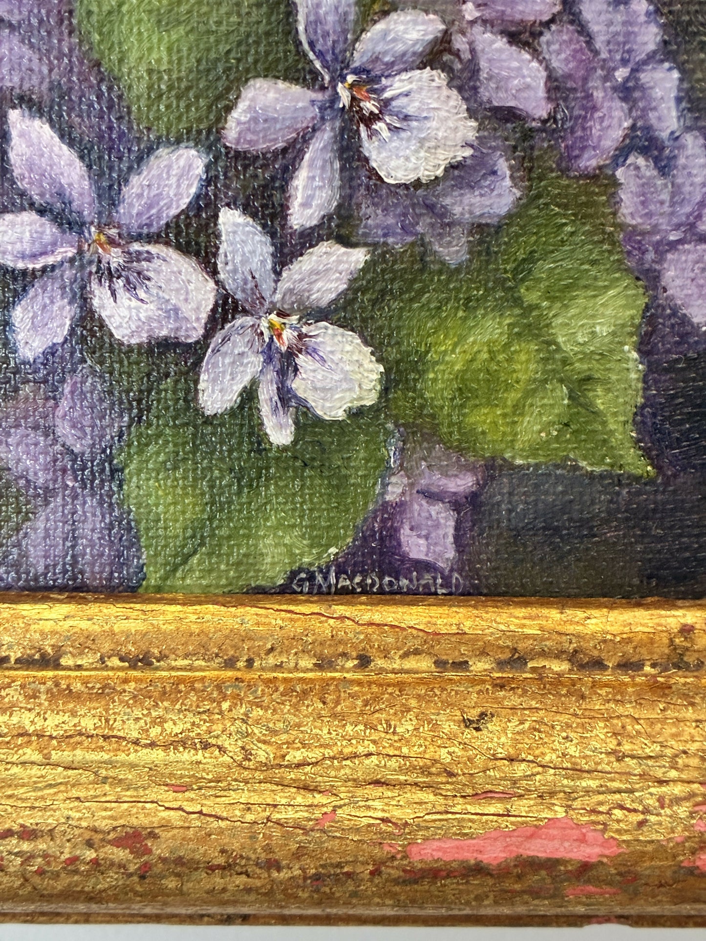 Violets still life