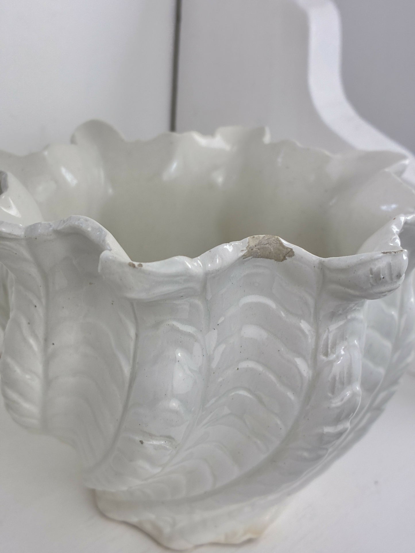 Shell shaped Pot