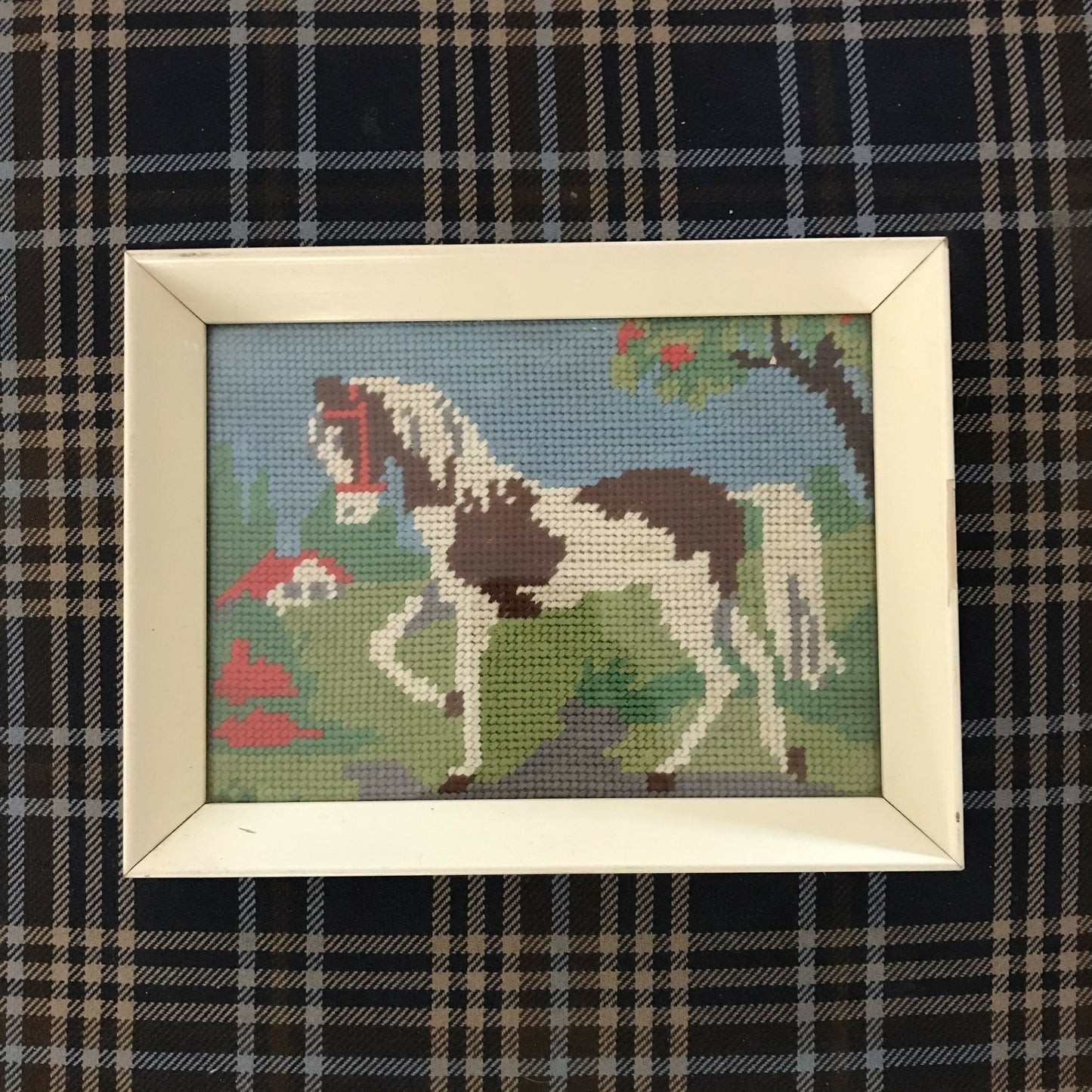 Needlework Piebald Pony