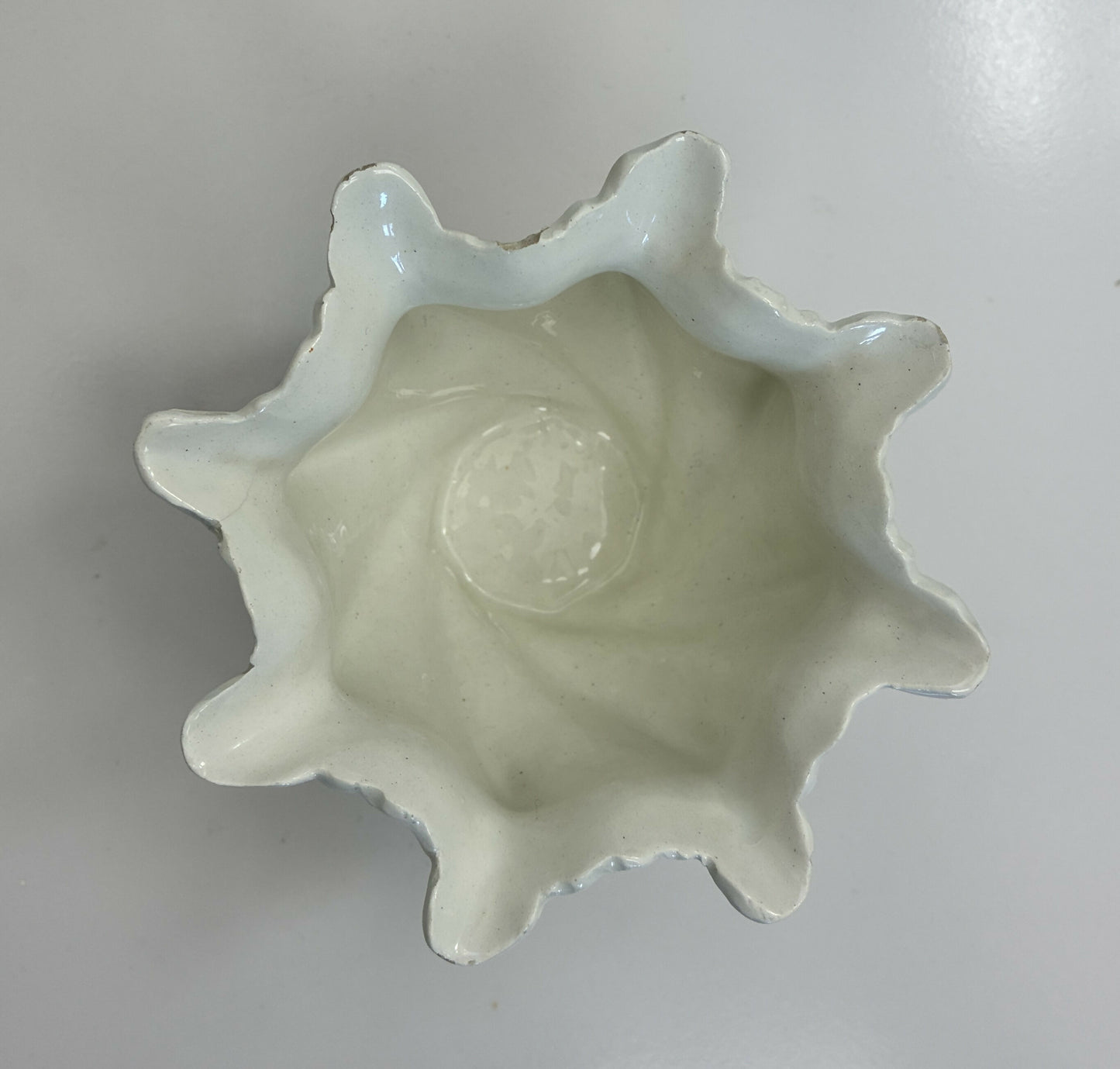 Shell shaped Pot