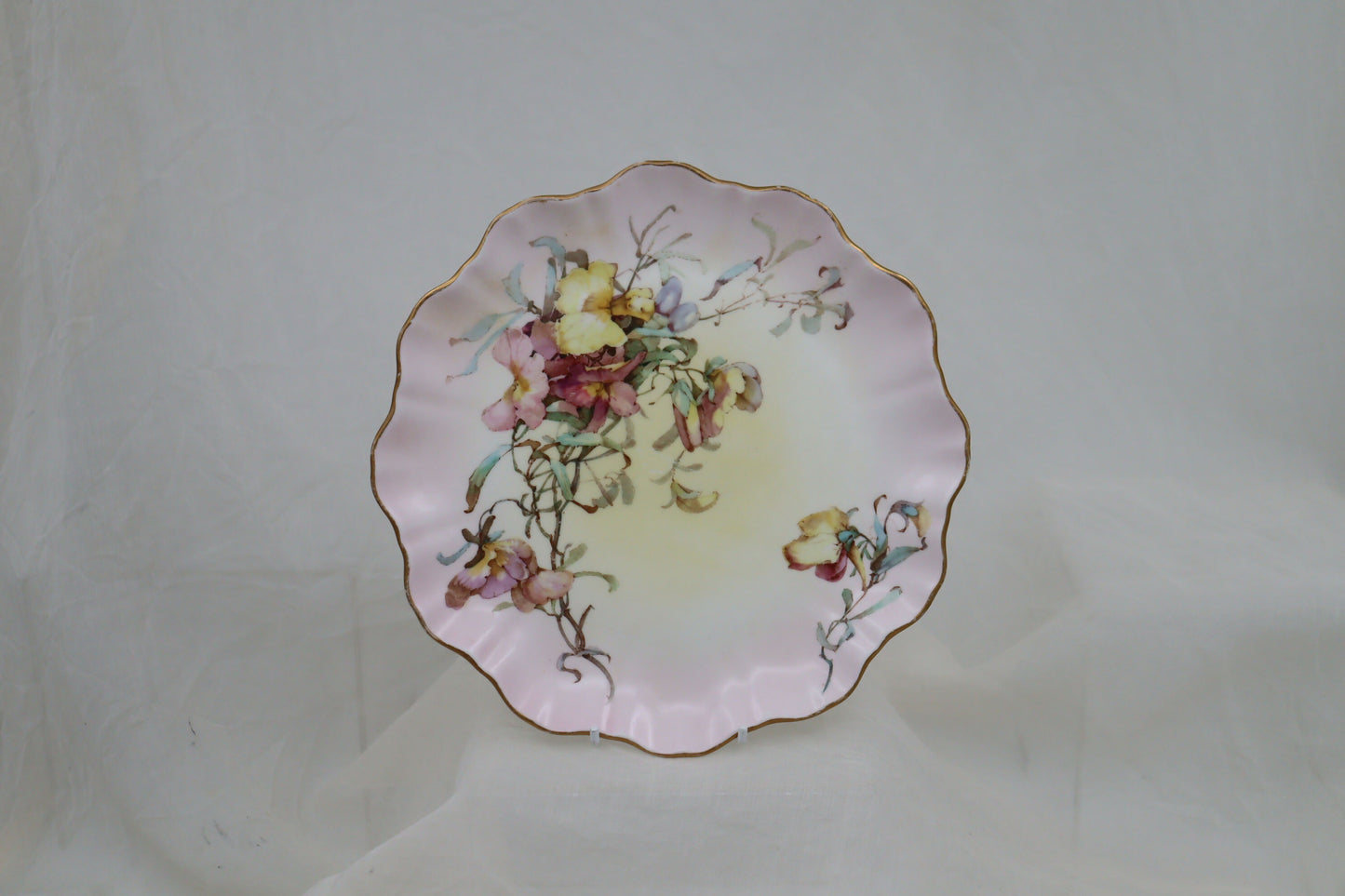 Doulton Burslem hand coloured plate pattern C2749