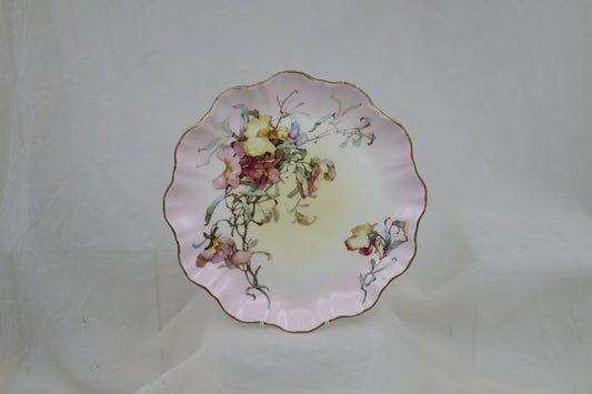 Doulton Burslem hand coloured plate pattern C2749
